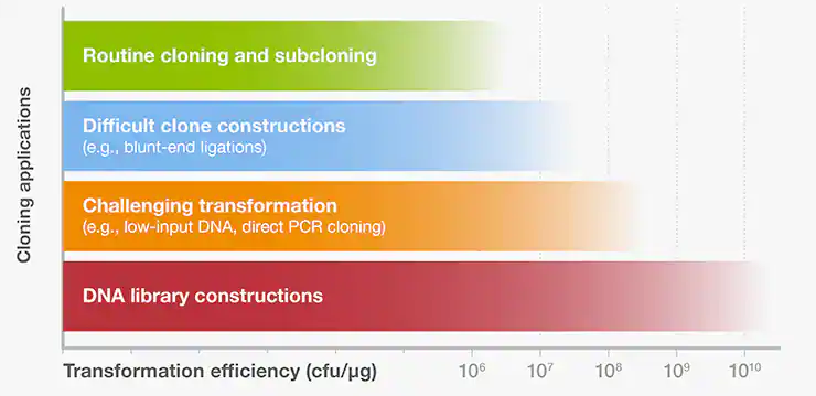 1699321370371249.png 1699321370371249.png