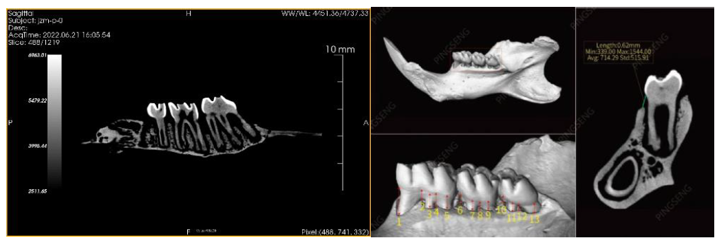 小动物成像检测有哪些?可以对应哪些指标?