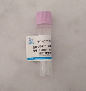 猫NT-proBNP抗体（包被）的检测内容