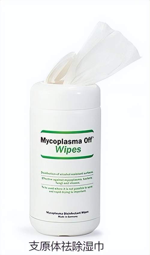 细胞培养之——污染筛查