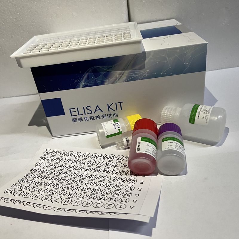 人雌二醇(E2)ELISA试剂盒