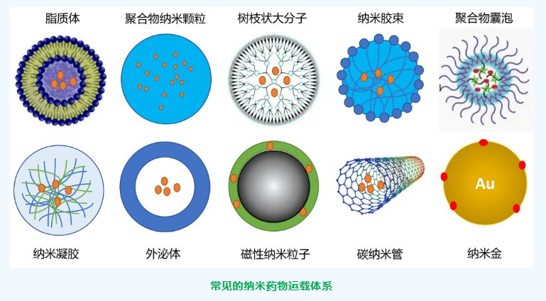 【PNP】 聚合物纳米药物载体使用多检测器 SEC 分析的应用案例