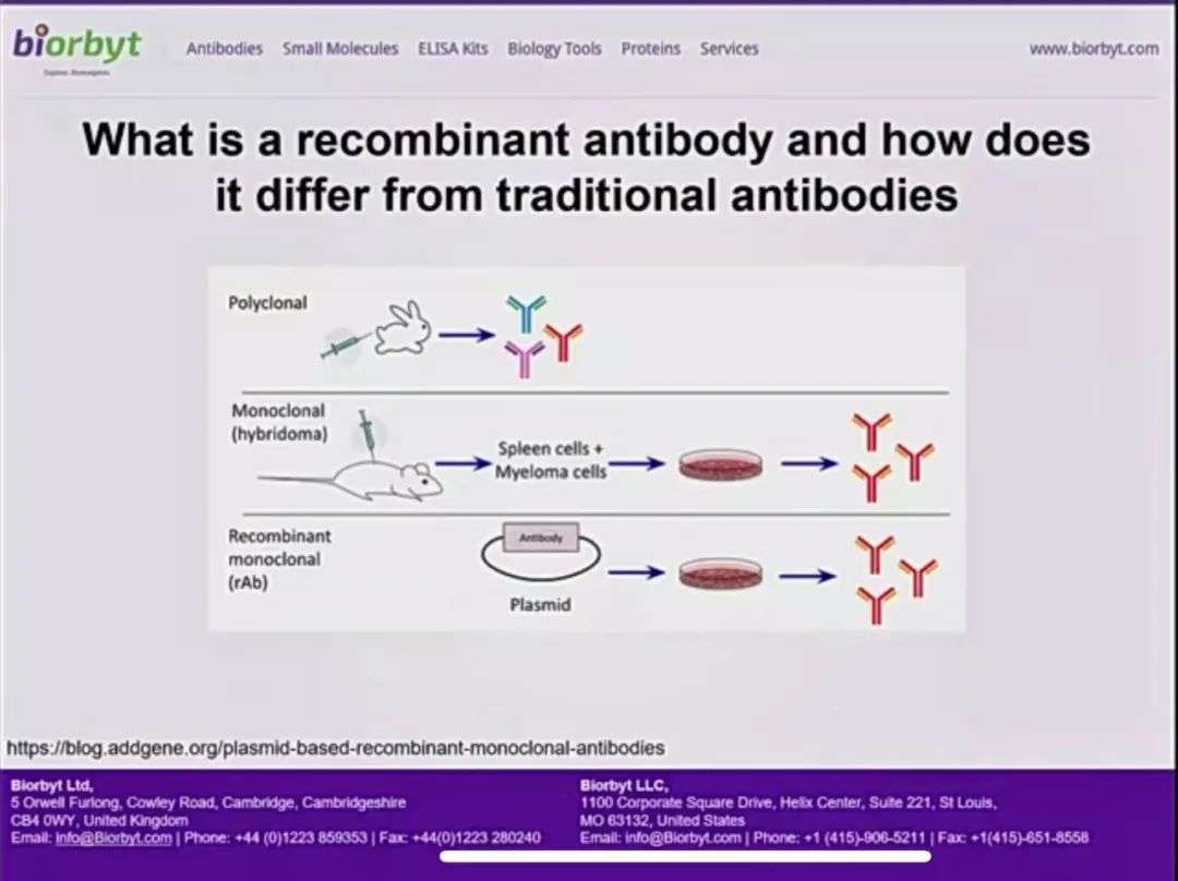 重组抗体到底好不好用？