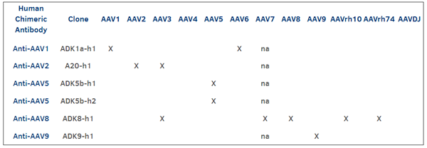 PROGEN-人嵌合AAV抗体相关促销