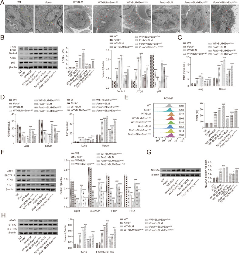 外泌体技术服务