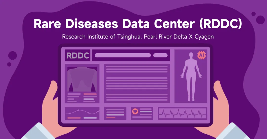 Gata2基因敲除小鼠