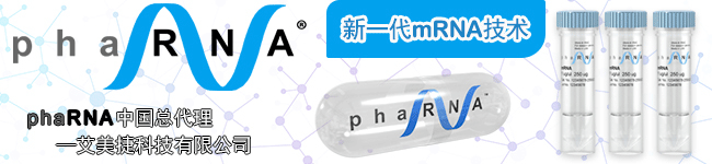 phaRNA代理艾美捷科技