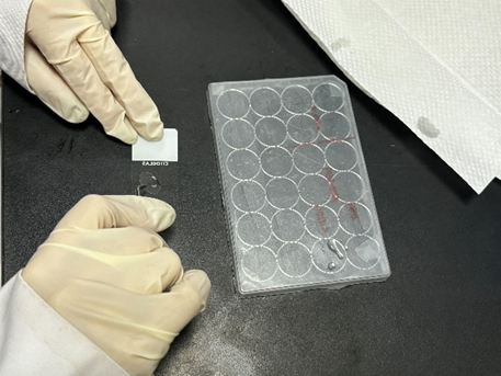 1708652097891354.png 7.png