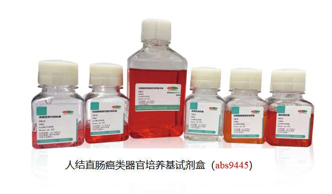 人结直肠癌类器官培养攻略
