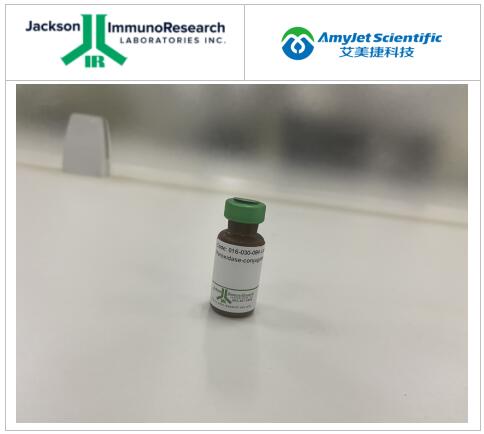 Jackson ImmunoResearch 蛋白质印迹指南丨膜清洗 Jackson ImmunoResearch 蛋白质印迹指南丨膜清洗