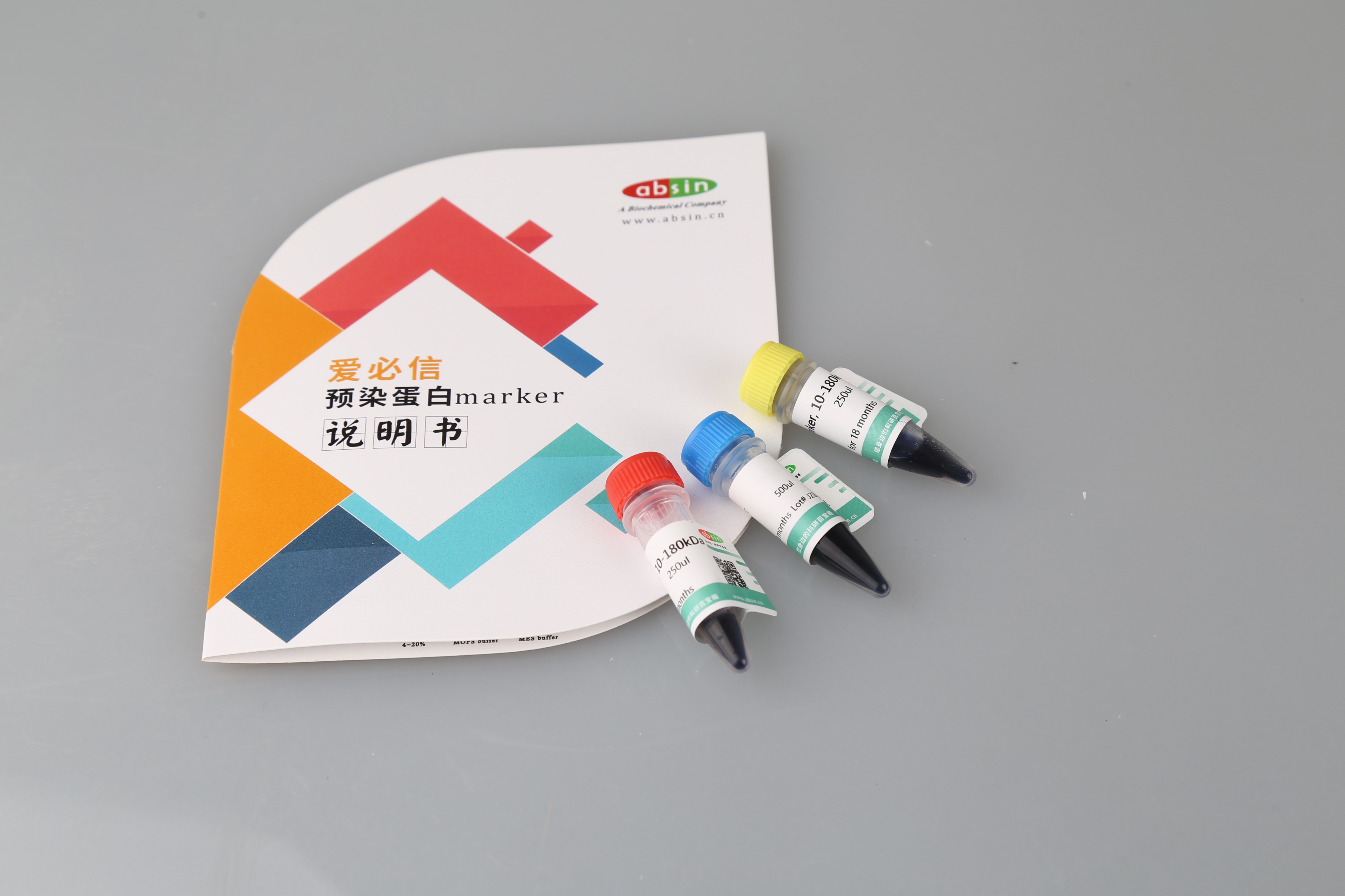 年末福利｜蛋白marker+内参抗体 这样买有惊喜!