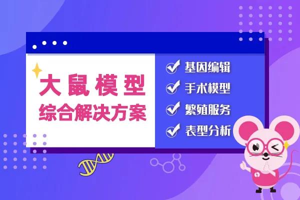 大鼠在神经领域的应用