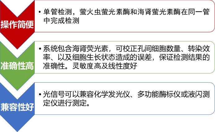 报告基因双萤光素酶专题