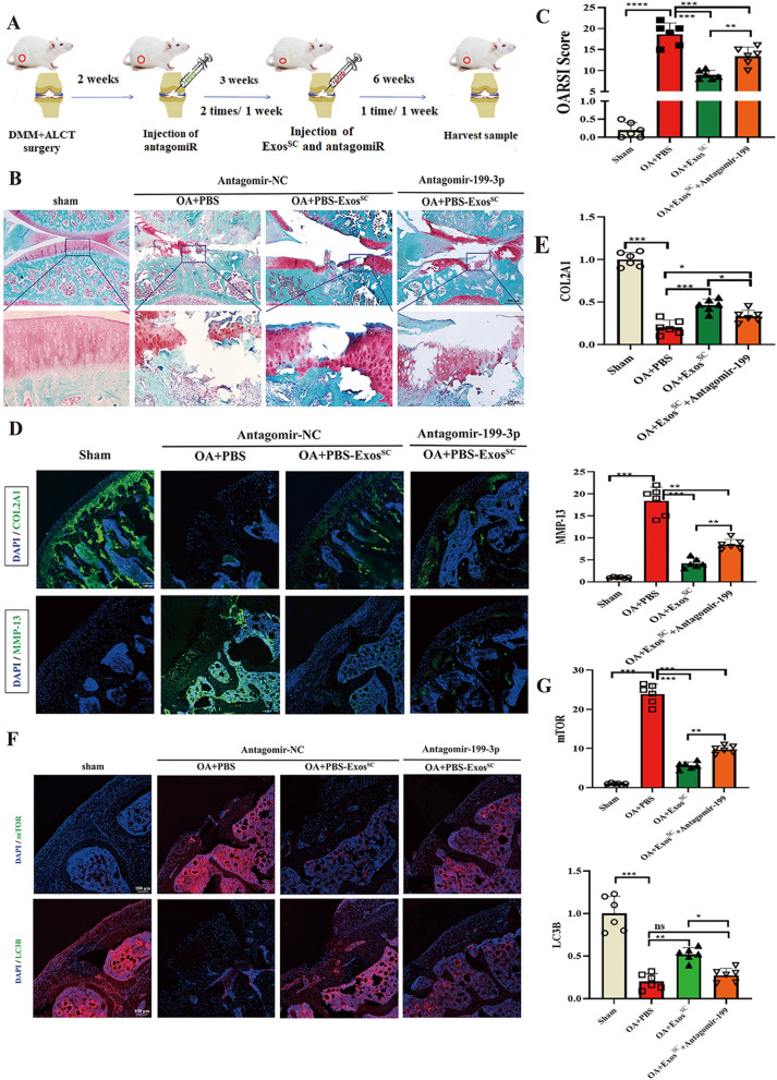 外泌体技术服务 外泌体技术服务
