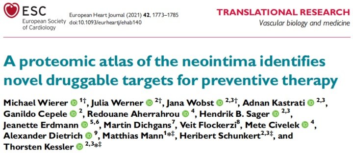 高分≠高经费 | 仅单一蛋白组+小鼠样本+36例，也可发29分SCI !!!
