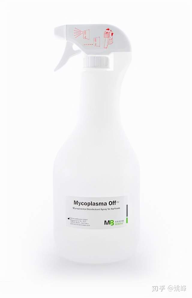 如何识破支原体污染