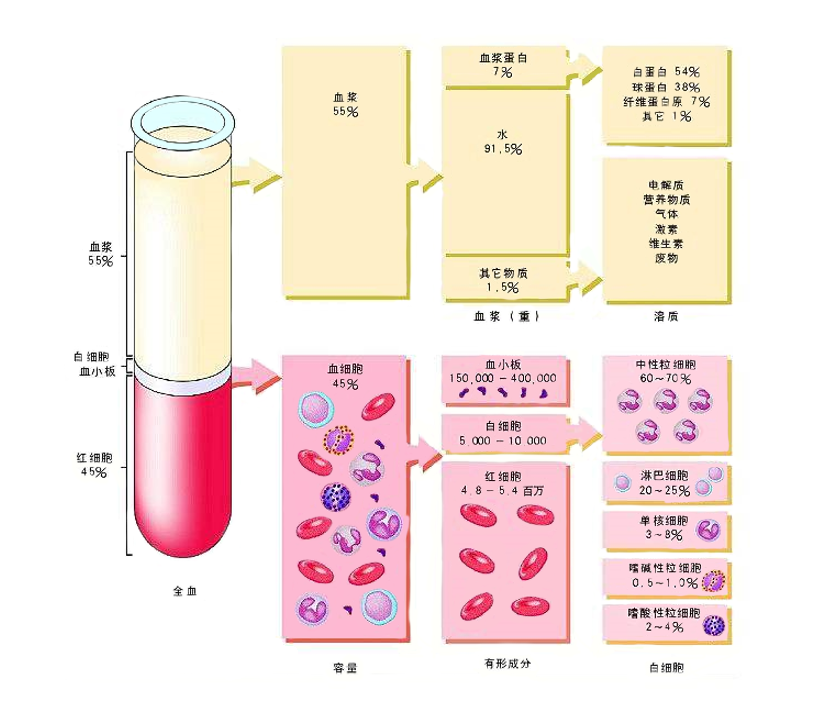 流式辅助产品使用指南