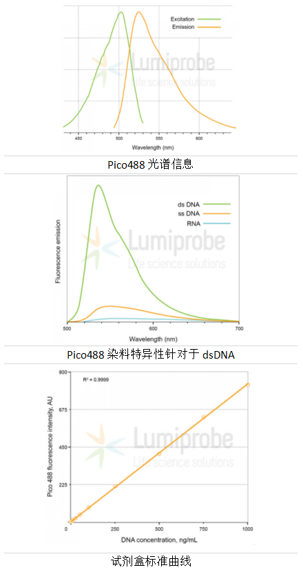 B1102 Pico488-dsDNA定量试剂盒检测结果&文献赏析