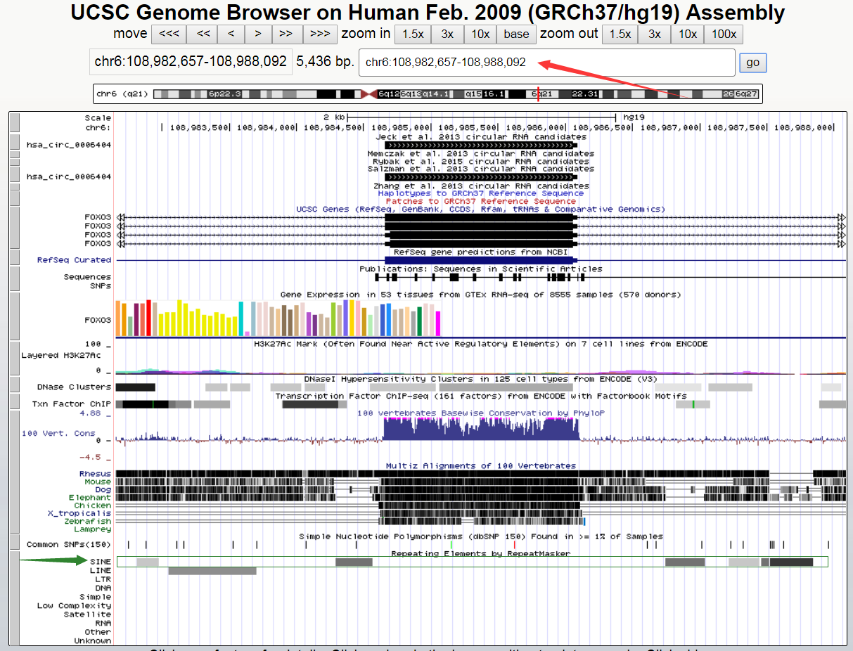 关于circRNA研究的疑问，你知道吗？