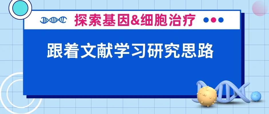 心血管疾病治疗研究新思路解析