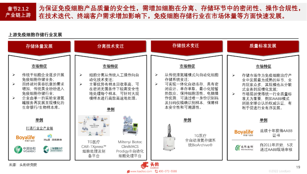 16968202731163149682.png 25.png