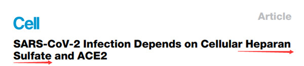 新冠病毒辅助受体——硫酸乙酰肝素（Heparan sulfate）定量检测试剂盒