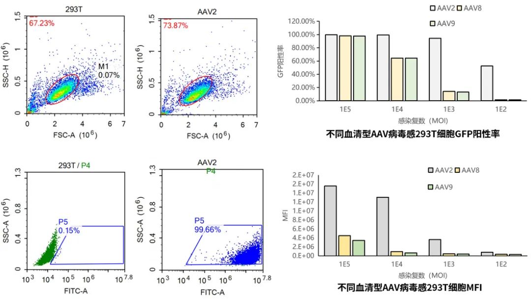 基于AAV的基因治疗前沿进展
