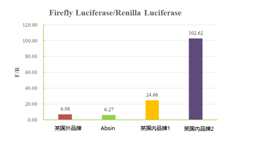 新闻图片8