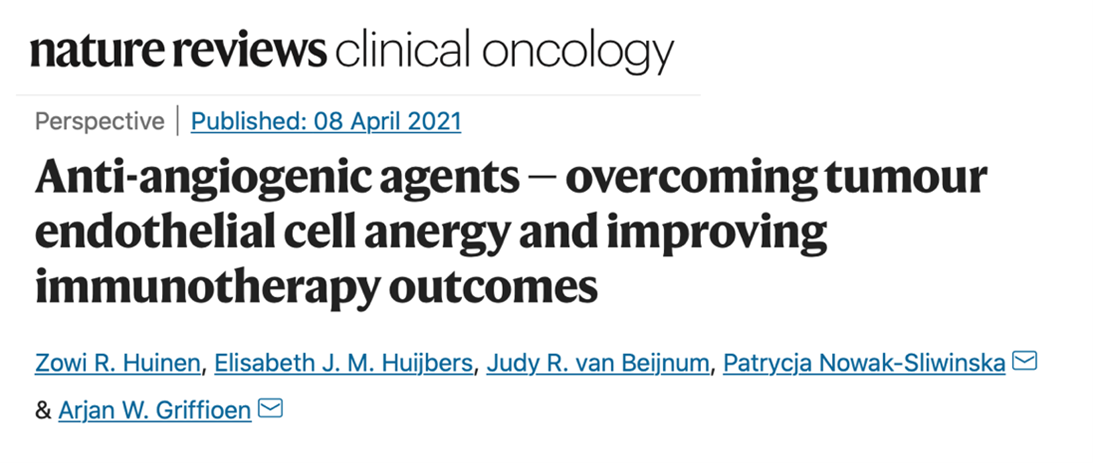 血管生成药物的抗肿瘤免疫作用