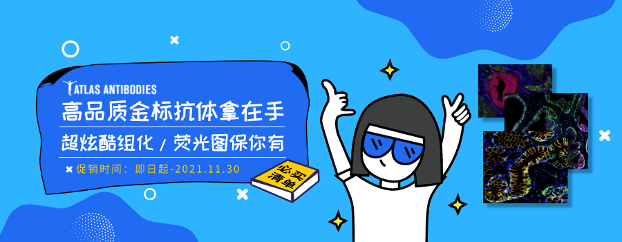 Atlas antibodies高品质金标抗体在手，荧光图保你有！