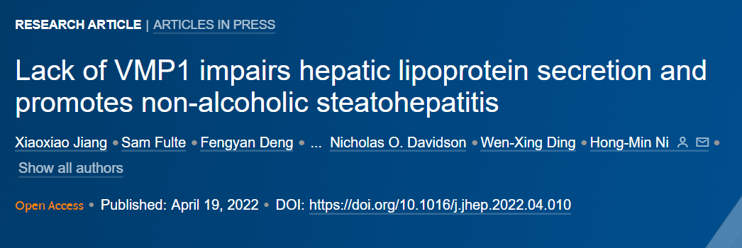 非酒精性脂肪性肝病患者脂肪变性的确切机制——倪红敏教授团队有新发现