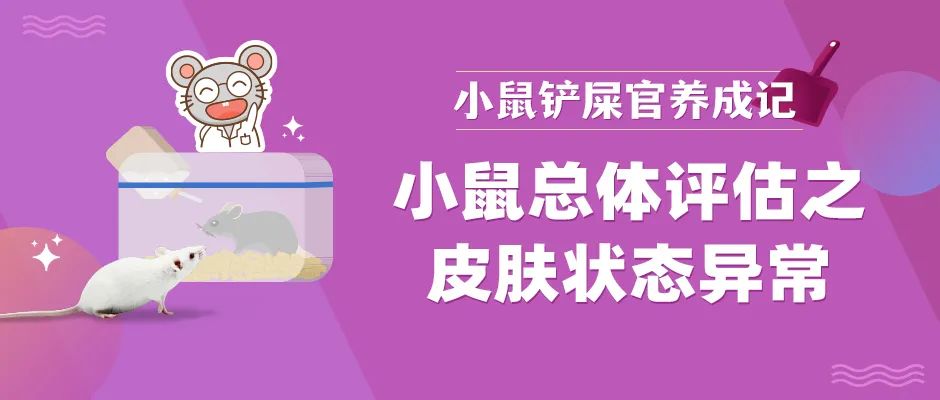 救急！小鼠皮肤状态异常怎么办？
