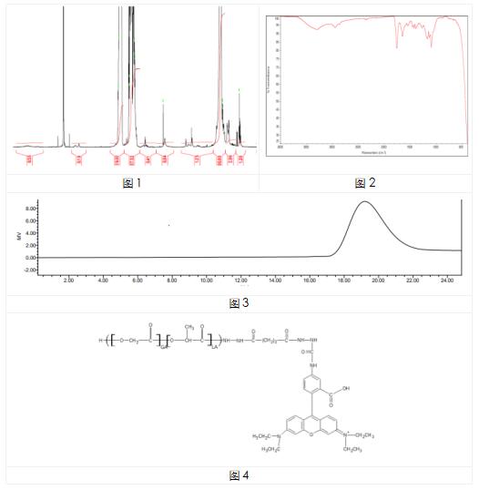 艾美捷PLGA-Rhod(AV011)参数和图例说明 艾美捷PLGA-Rhod(AV011)参数和图例说明