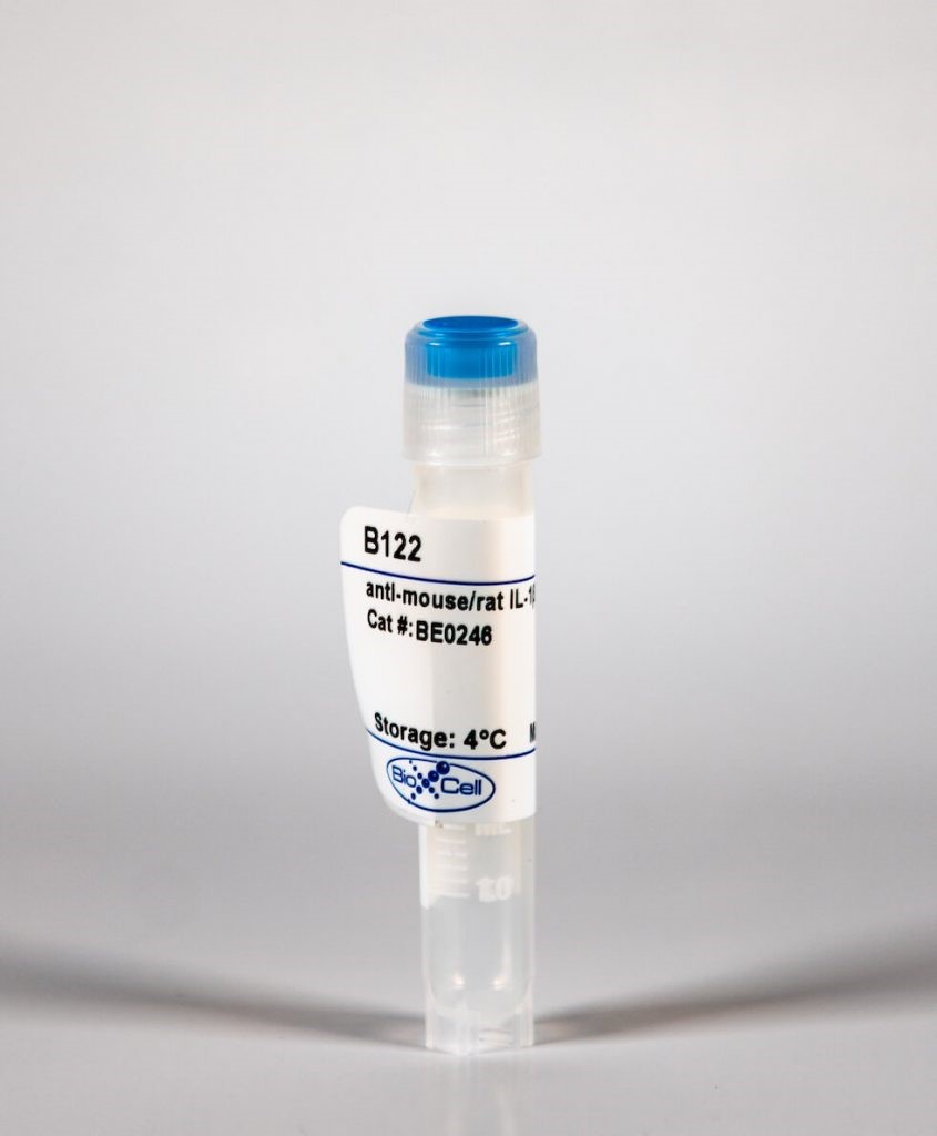 BioXcell特色产品推荐之：InVivoMAb anti-mouse/rat IL-1β（B122）