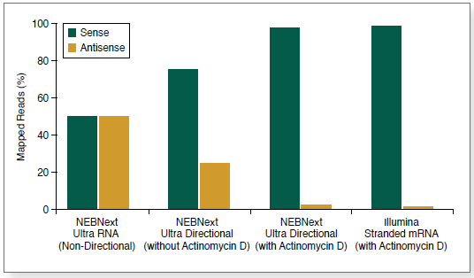 行业首家！无毒、无臭、无需避光的预混RNA建库试剂盒重磅推出！