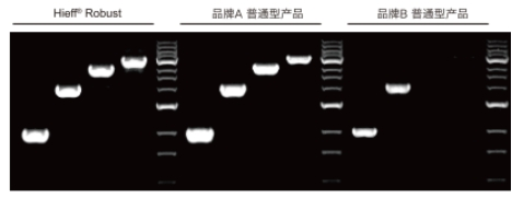 PCR产品如何选择？一文带你选购翌圣PCR试剂！