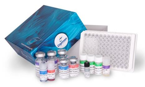 专用荧光检测器丨艾美捷游离巯基检测试剂盒   