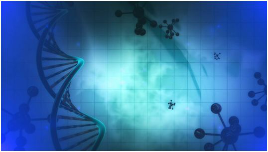 首次发现表观遗传变化也可导致真菌产生抗药性