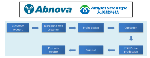 Abnova艾美捷FISH探针流程及研究工具 Abnova艾美捷FISH探针流程及研究工具