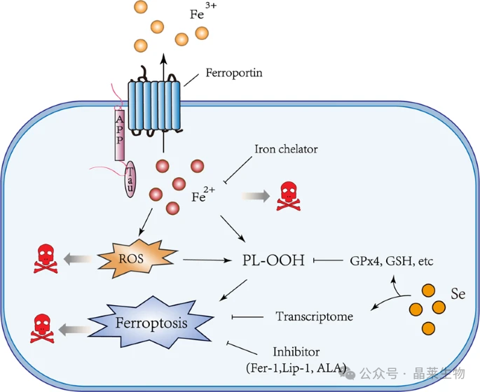 1705906451151010.png 新闻图片2