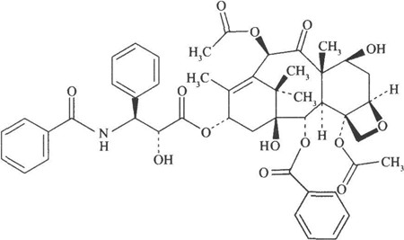 紫杉醇丨一种天然抗癌药物&实用性介绍