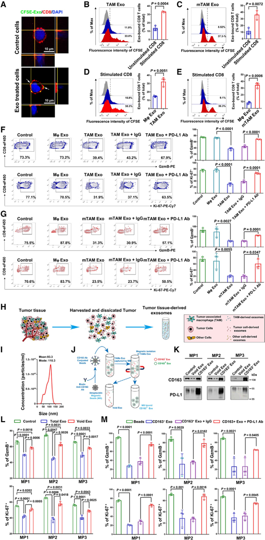 外泌体技术服务