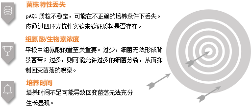 低变 5.png 低变 5.png