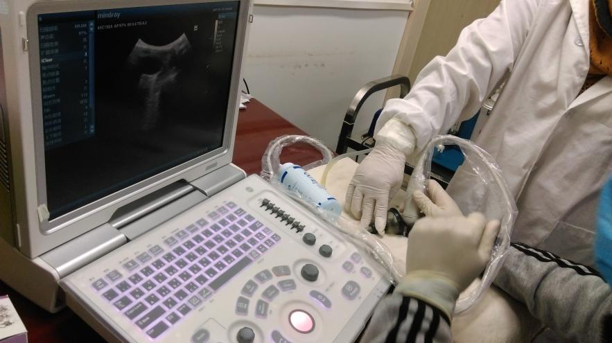 做实验动物疾病模型，云克隆是认真的