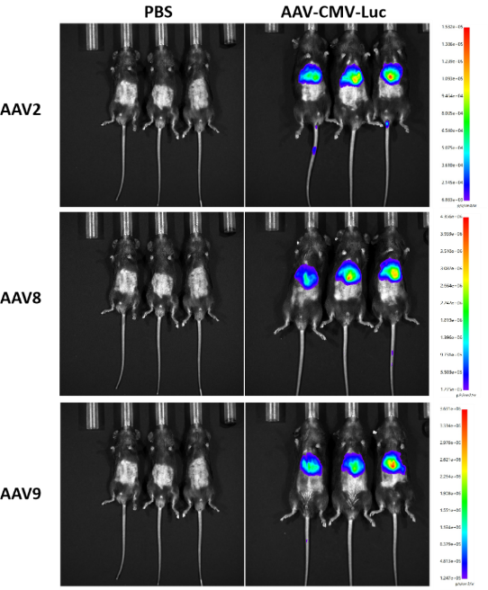  30分文章发到手软，这项技术因何屹立不倒？