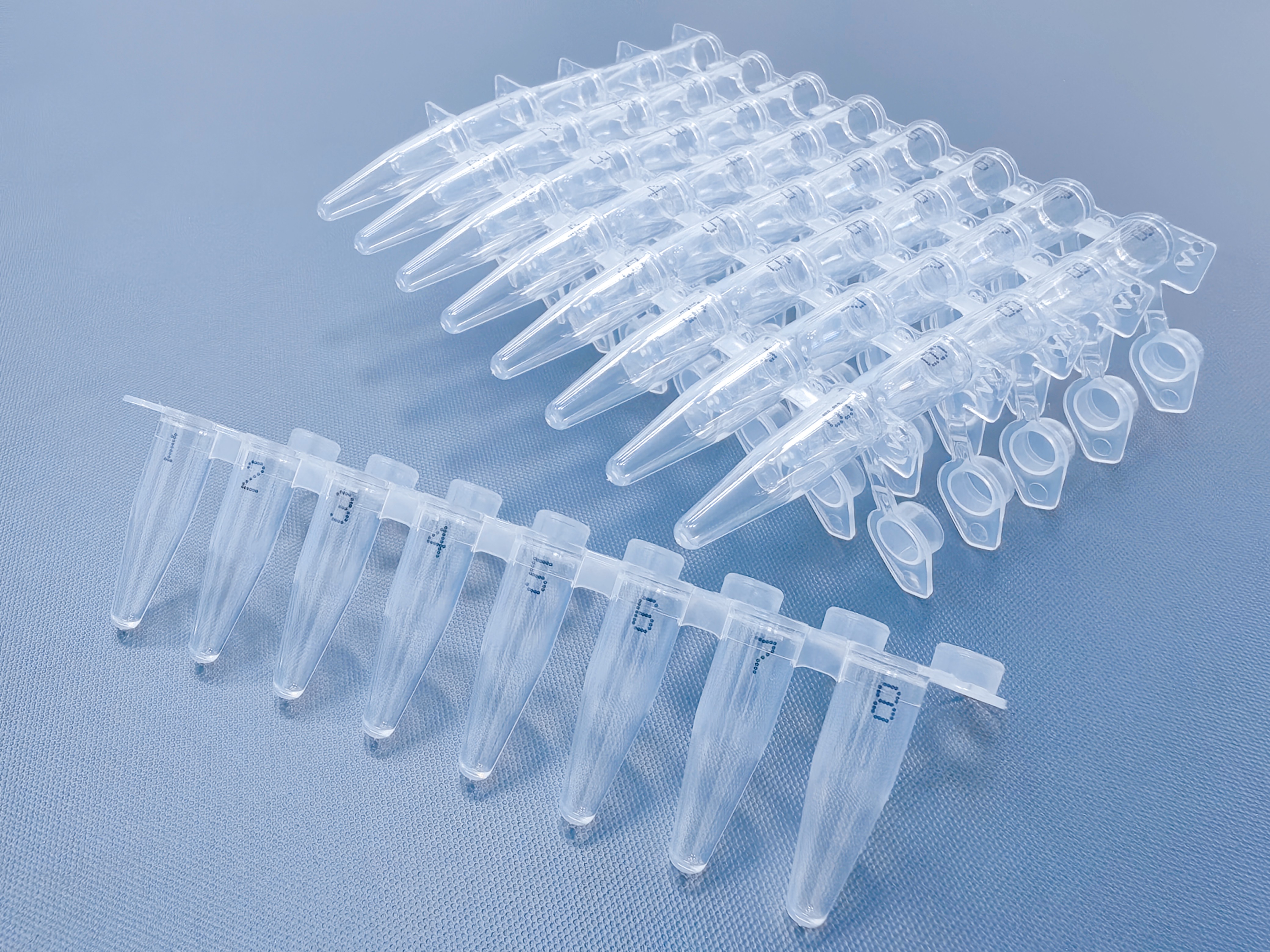 BUNSEN新品：带黑色字标识PCR八连管