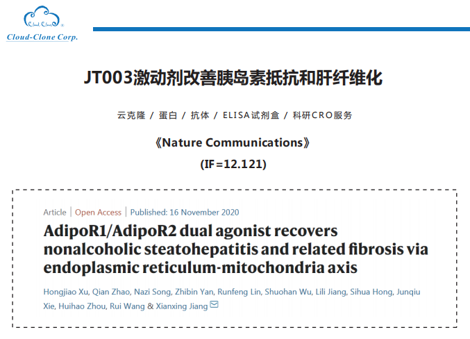 JT003激动剂改善胰岛素抵抗和肝纤维化