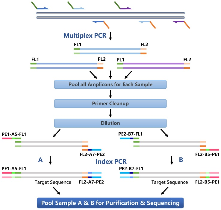 BeyoNGSTM助力揭秘mtDNA突变！