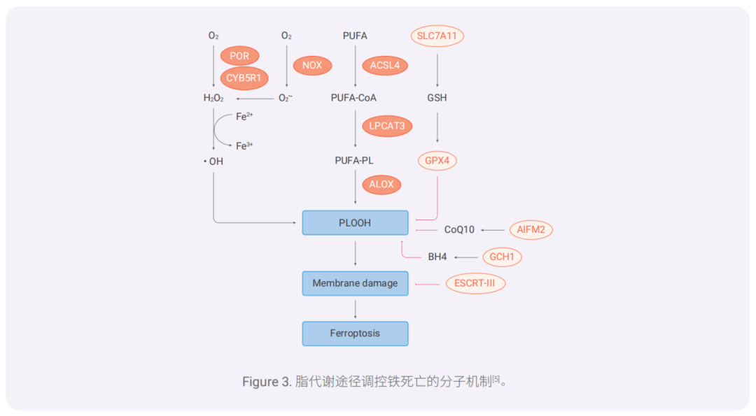 新闻图片3