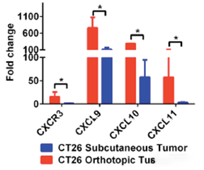 文献解读 | 用原位肿瘤模型评价肿瘤免疫治疗将比皮下模型能更好的预测临床疗效！